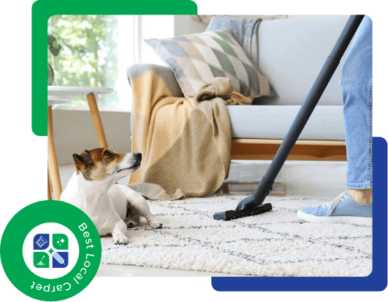 New England Carpet Cleaning