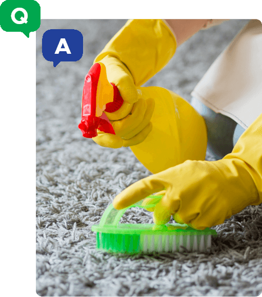 New England Carpet Cleaning