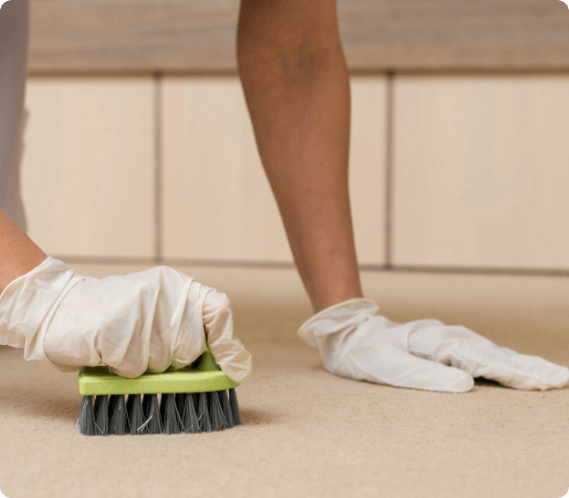 Rug Cleaning
