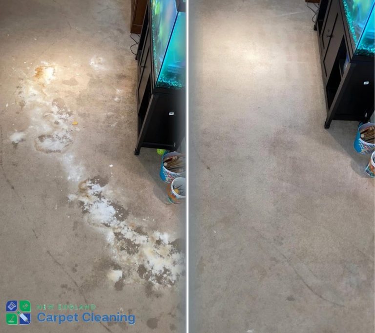 professional carpet cleaning ma