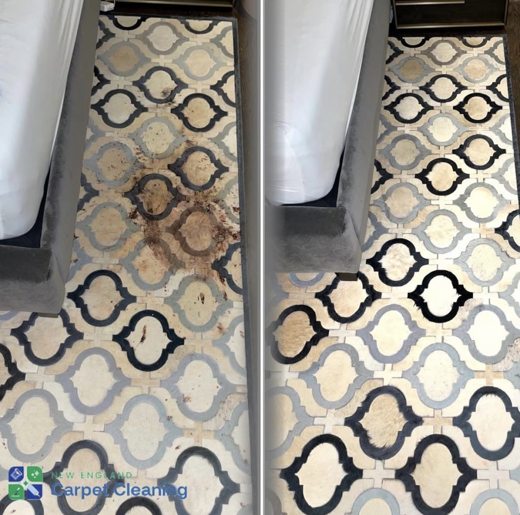 professional carpet cleaning ma