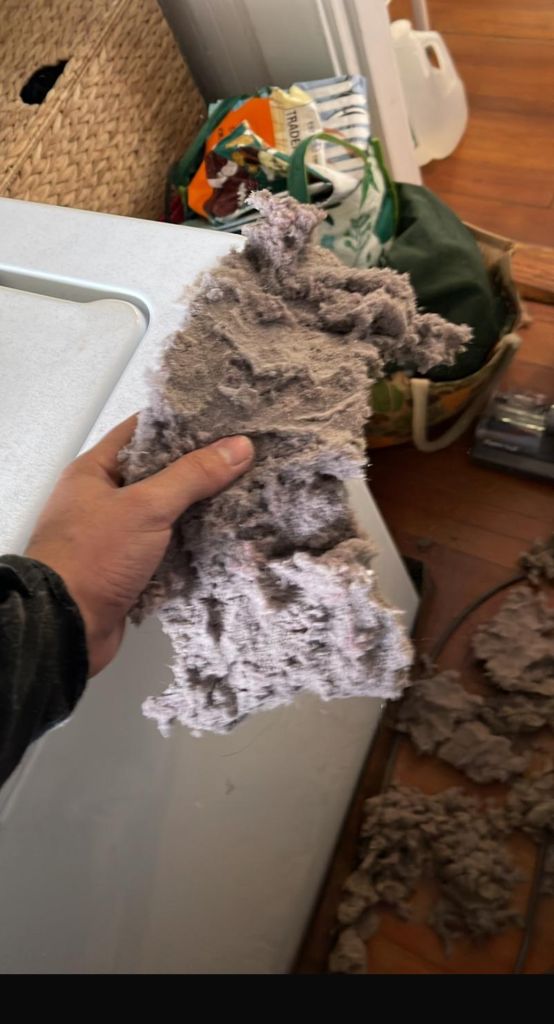 dryer vent cleaning ma