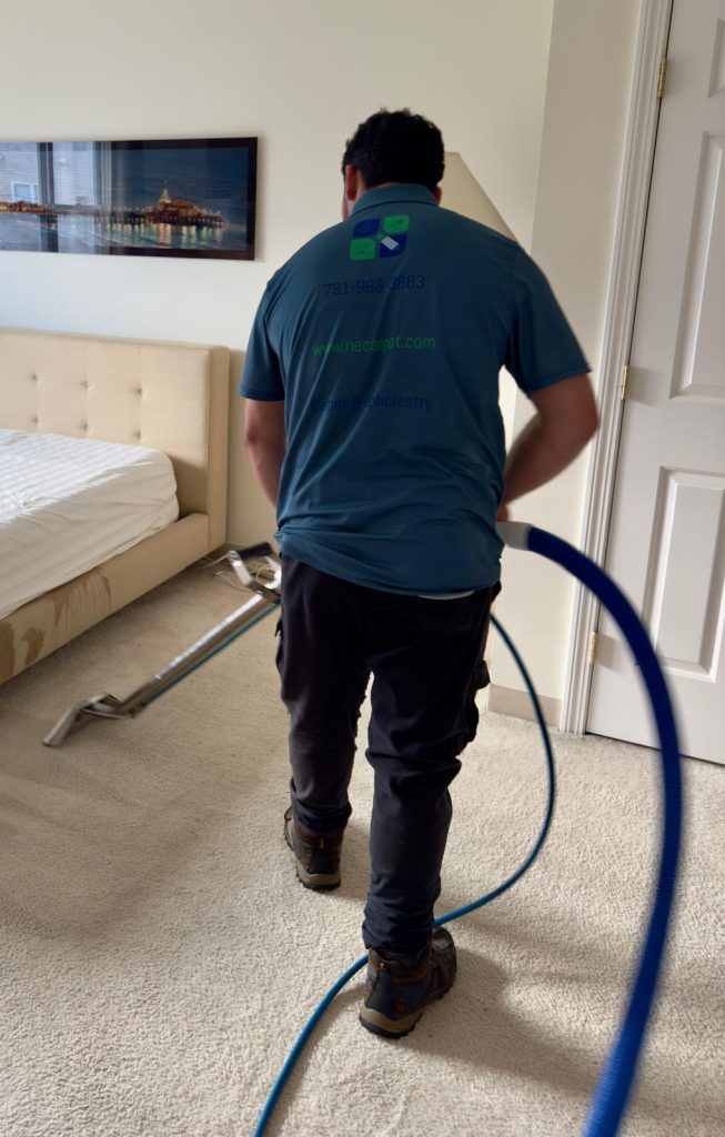 Professional carpet cleaning in, MA using CRB agitation and hot water extraction
