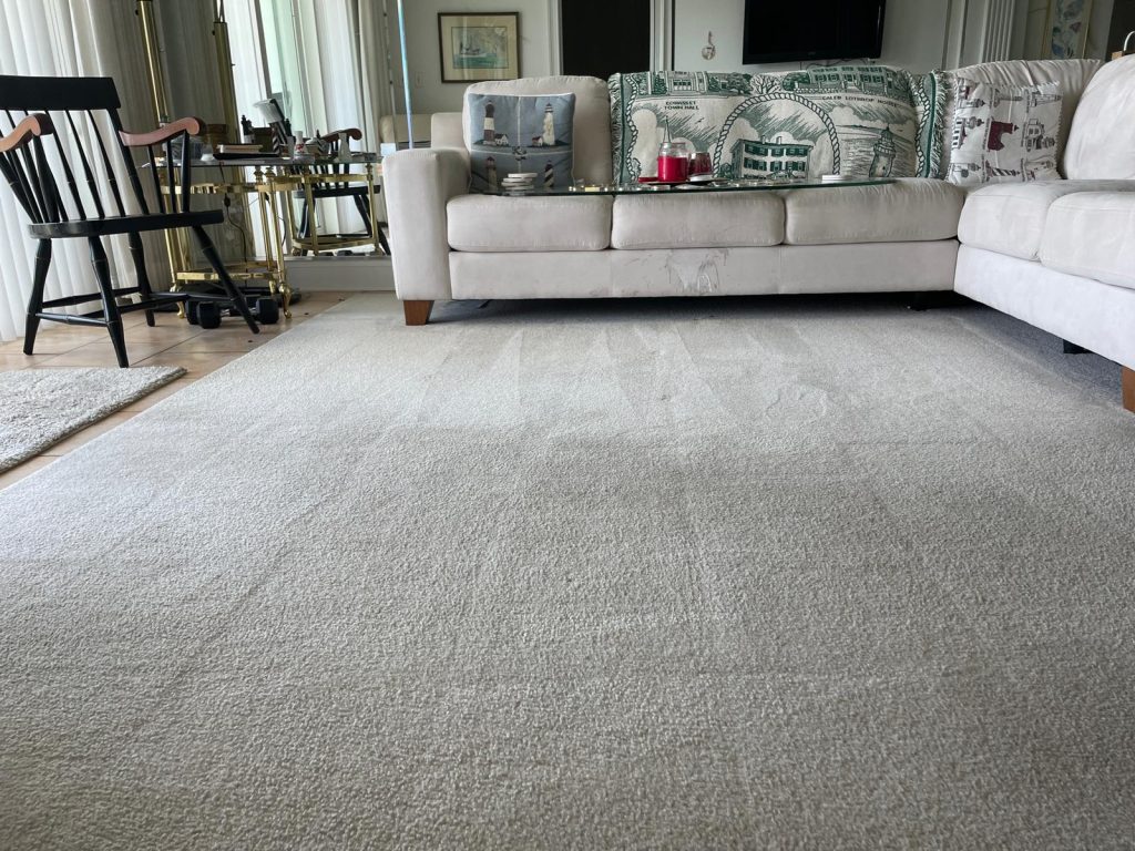 residential couch cleaning ma